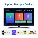 NETV LiveGo IPTV Subscription 6 Month Nordic full HD IPTV New DATOO Support Smart TV Mag M3u Andorid APK IPTV Smarters Pro
