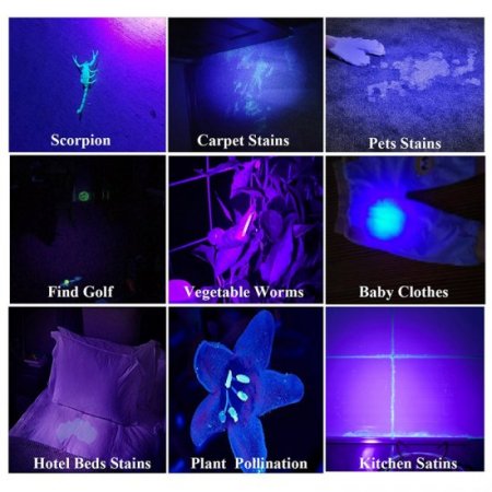 GLOSSDAY Blacklight Flashlight LED UV Flashlight,Ultraviolet Flashlight Black Light Professional Pet Urine Detector for Dog/Cat Urine,Pet Stains,Hunting Scorpions