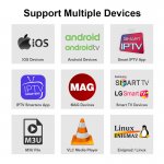 IPTV OTT Platinum Best European IPTV 12 Mois Germany French Spain Live Sport IPTV M3u Abonnement IPTV Smarters Pro